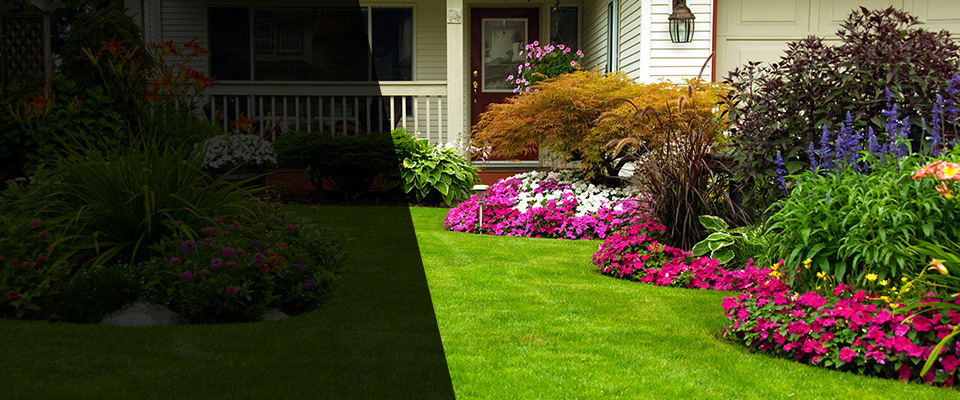 Cornwall Landscapers
