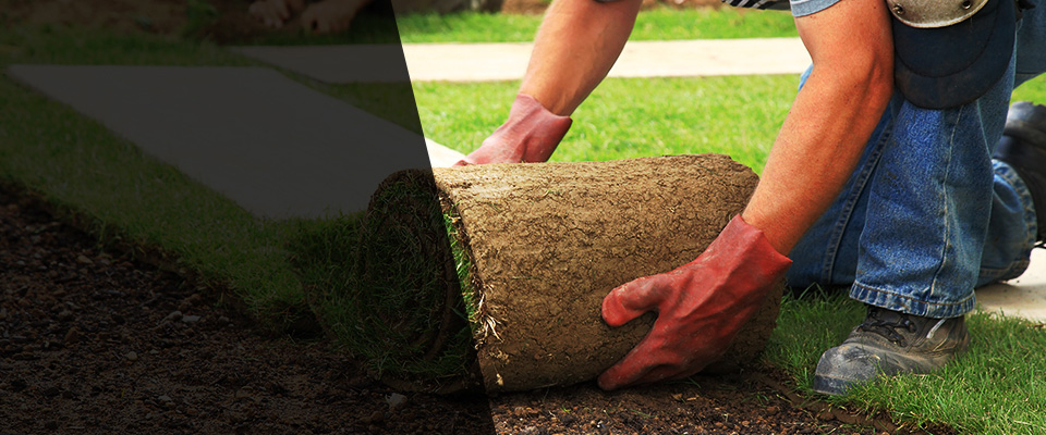 Cornwall Landscapers